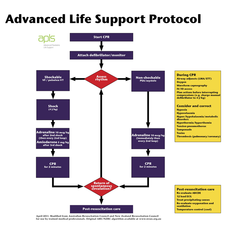Advanced+Life+Support+Protocol.jpg